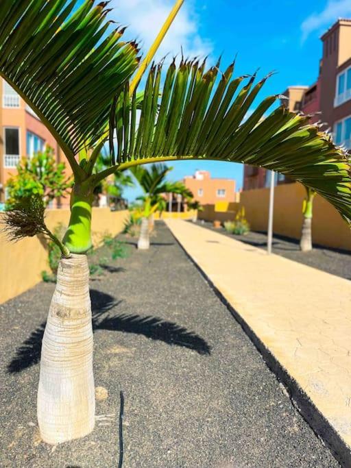 Apartamento Casa Bamboo Corralejo, Espacioso, Piscina Y Parking 외부 사진