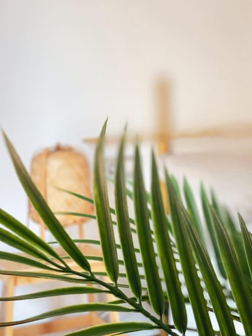 Apartamento Casa Bamboo Corralejo, Espacioso, Piscina Y Parking 외부 사진