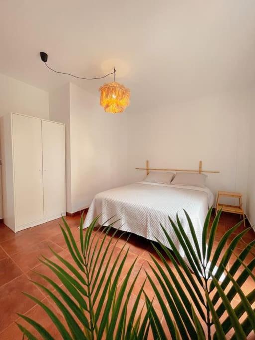 Apartamento Casa Bamboo Corralejo, Espacioso, Piscina Y Parking 외부 사진