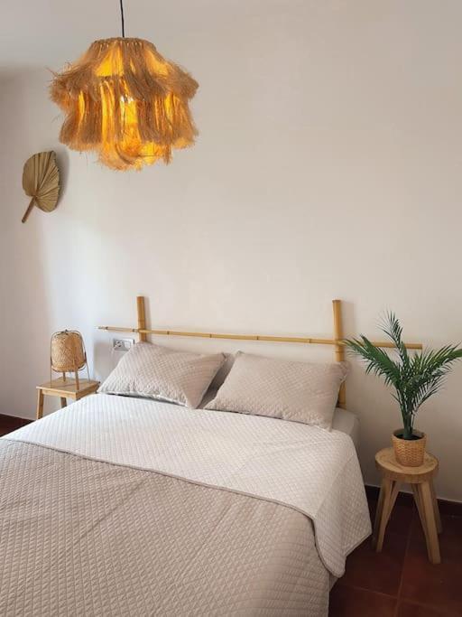 Apartamento Casa Bamboo Corralejo, Espacioso, Piscina Y Parking 외부 사진